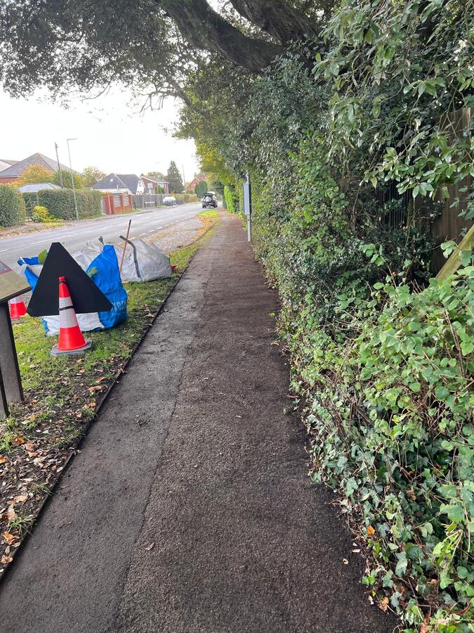 Verge Clearing October 2025